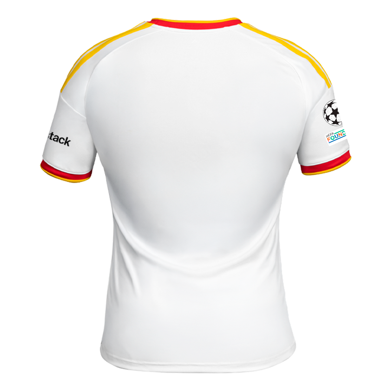 Maillot Officiel Europe Third 2026 2027 Adulte Dos