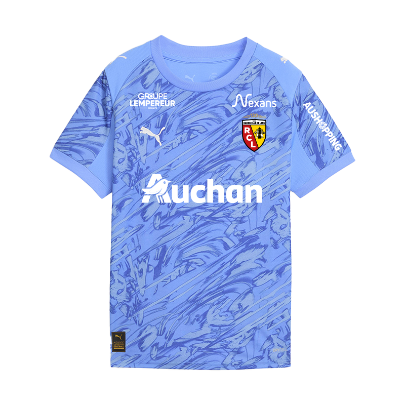 Maillot Officiel Gardien Domicile Adulte 2025 2026 De Face